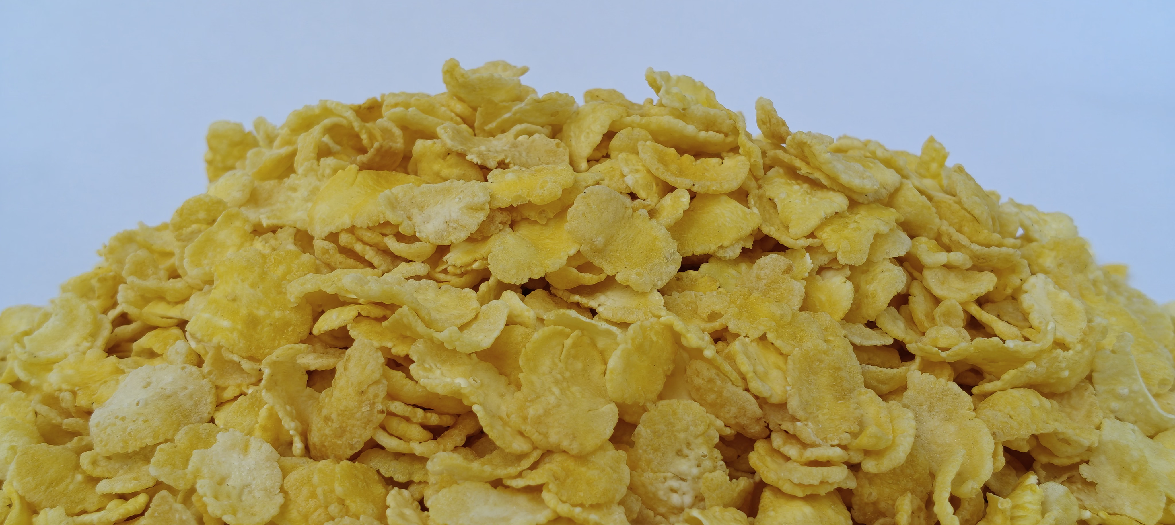 Modern Avil Food Product Website