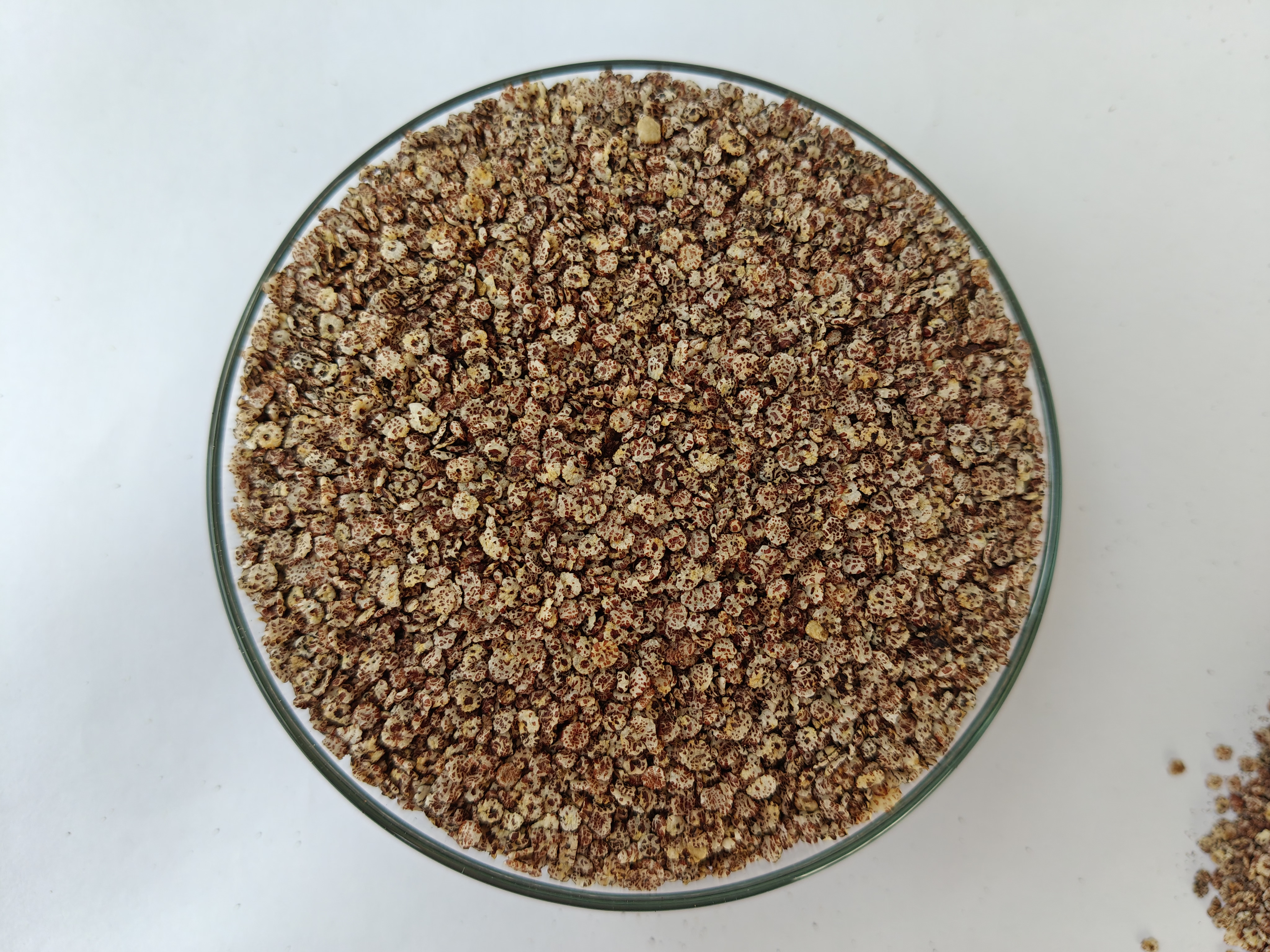 Modern Avil Food Product Website